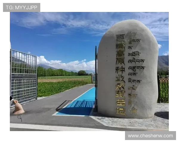 王秋明谈高原适应性问题强调自我反思与客观因素的平衡分析